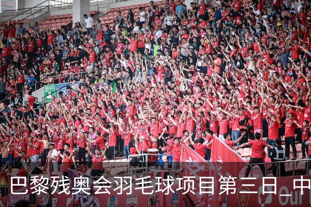 巴黎残奥会羽毛球项目第三日 中国队取得13胜3负
